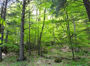 1423 Big Moose Rd, Eagle Bay, NY 13331