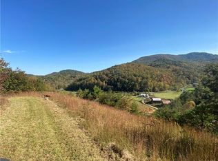 99999 Margaret Dr LOT 1, Leicester, NC 28748