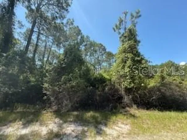 337 Palm Way Lot 2, Georgetown, FL 32139