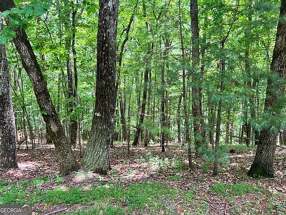 3rd image of LOT G667-G68 Mountain Oak Rd