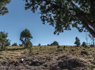 LOT 34 El Camino Dr, Alto, NM 88312