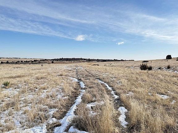 3rd image of Davlin Street