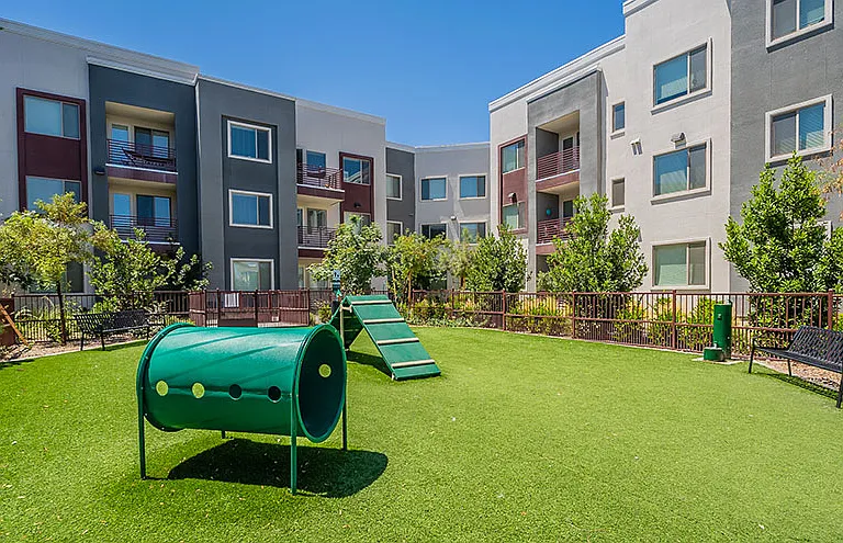 Buffalo at Desert Shores Apartments — Photo 21