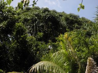 Papaya Farms Rd LOT 17, Pahoa, HI 96778