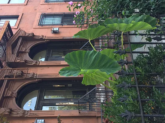 Rented by On My Own (OMO) LLC | media 6