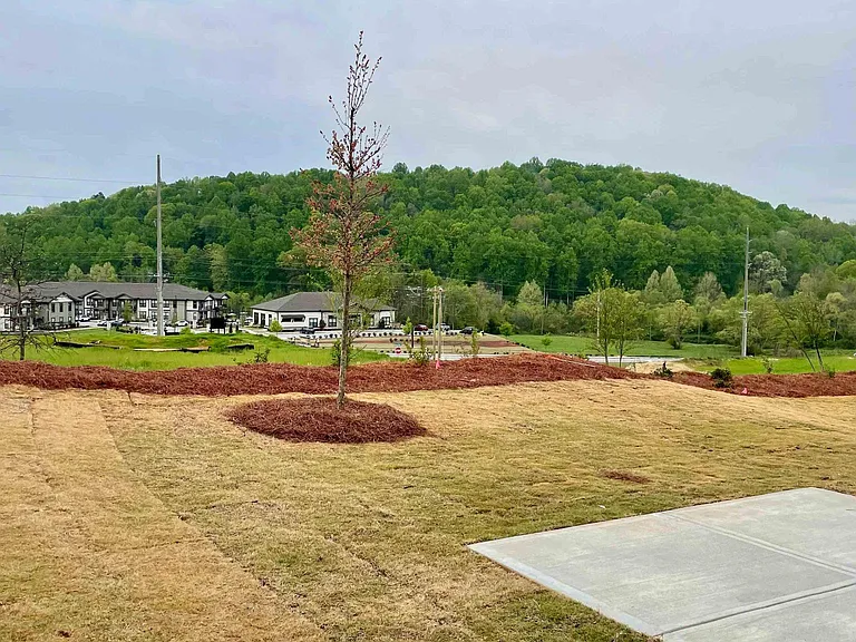 Large backyard with open views for relaxing and entertaining
