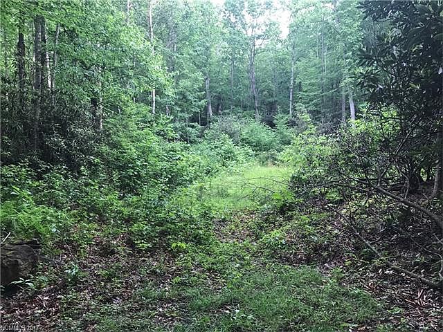 2nd image of 3855 Bald Creek Rd