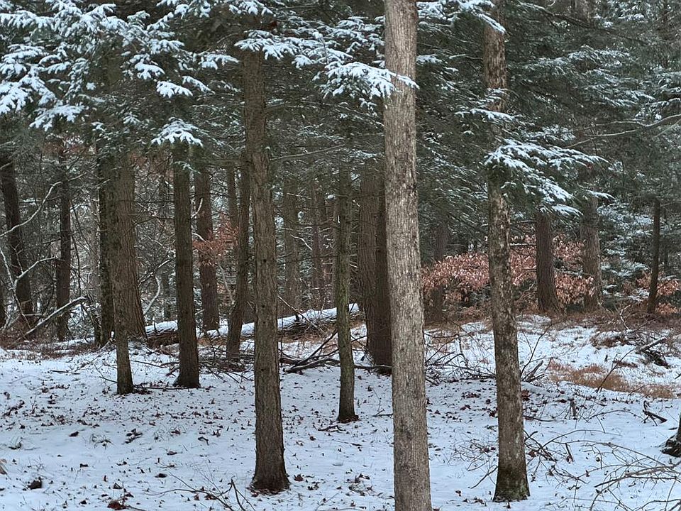 2nd image of 0 Sackett Creek Rd