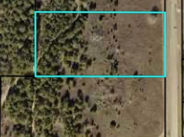 413/ACRE S Pitts Rd, Hawkinsville, GA 31036