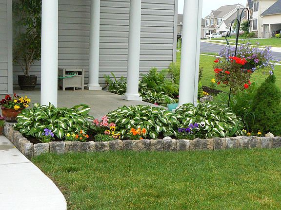 Summer 2008 Front garden