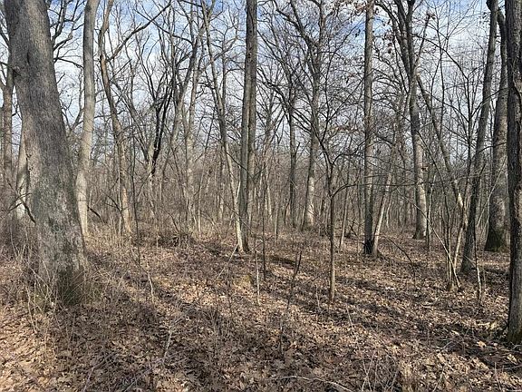 5th image of 2+/- Acres Biggs Road