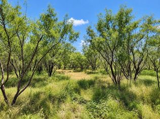 602 County Road 383, Woodson, TX 76491
