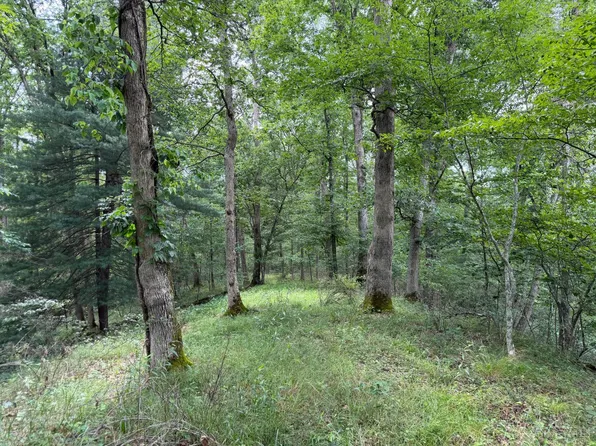 1323 Beaver Pond Rd, Peebles, OH 45660