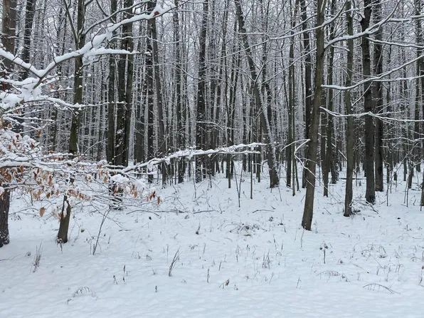 8277 Tanglewood Trl #219, Stanwood, MI 49346
