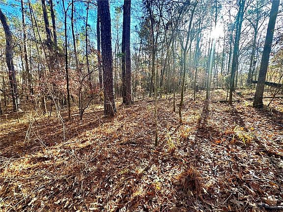 2nd image of Howard Rd