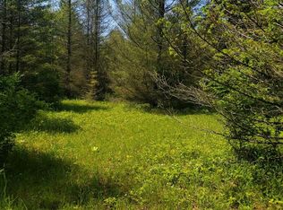 S Runyan Rd, Ludington, MI 49431