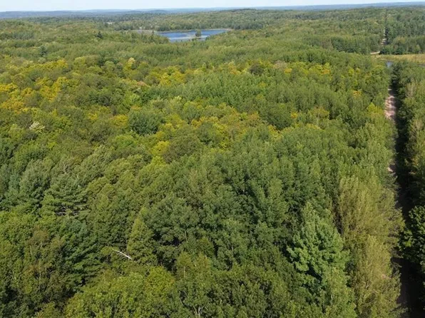 0000 Dugan Lake Road, Stone Lake, WI 54876