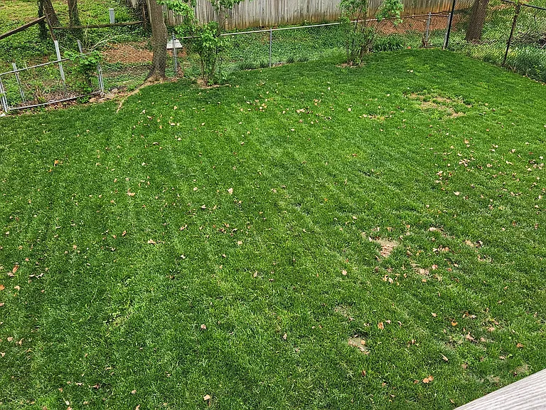 226 Allison Ave — Photo 10