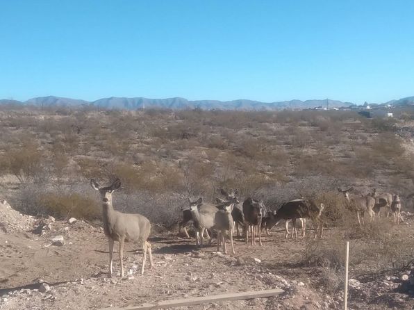 1476 N Pony Pl, Tombstone, AZ 85638