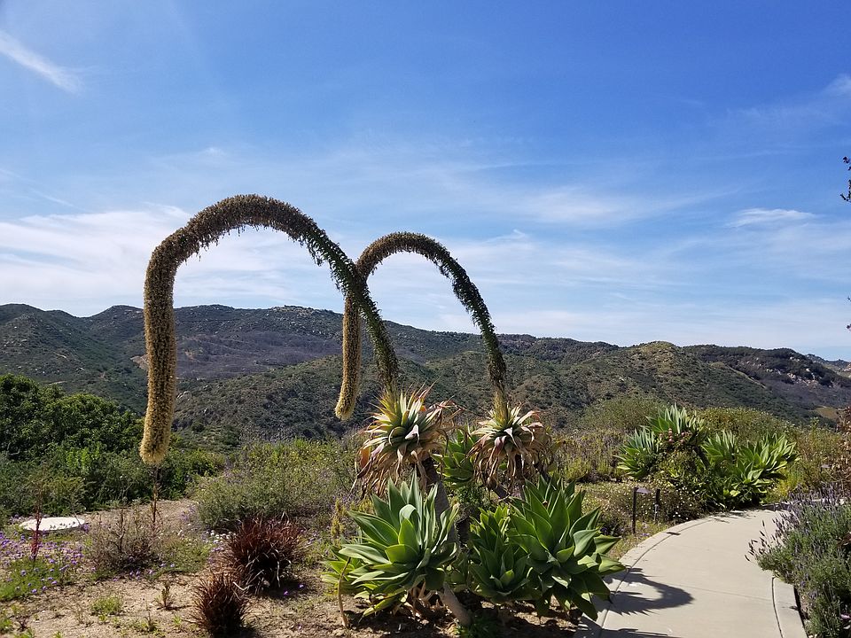2nd image of 1882 Santa Margarita Dr