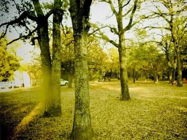 1312 Arrowhead Dr, West Tawakoni, TX 75474