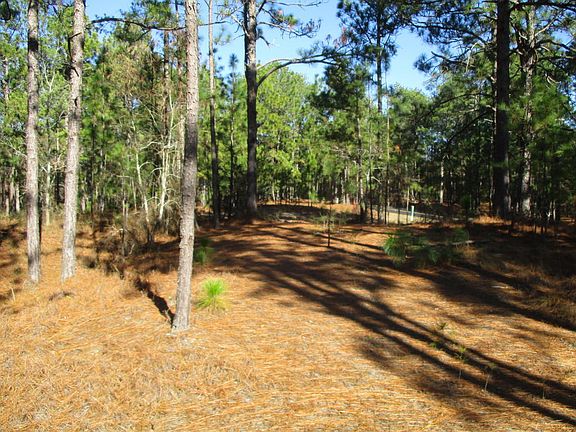 3rd image of 483 Longleaf Drive