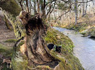 5295 Egypt Rd, Boaz, AL 35956