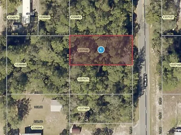 Palm St, Paisley, FL 32767