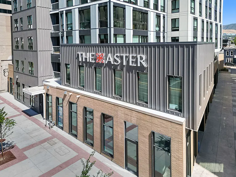 The Aster — Photo 11
