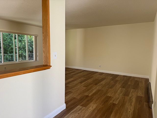 Open window space to allow all the southern light to permeate the living, dining, and kitchen areas