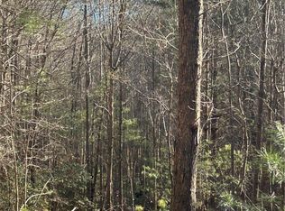 160 Club House Dr, Sunset, SC 29685