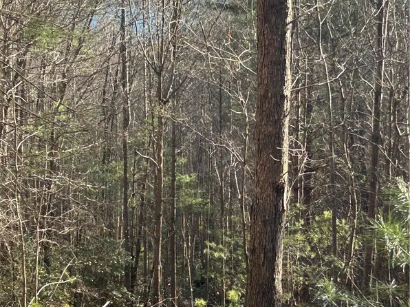160 Club House Dr, Sunset, SC 29685