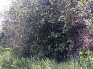 3 Road, Volcano, HI 96785