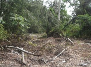 17th St LOT 581, Keaau, HI 96749