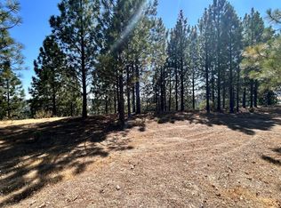 773 Red Fox Rd, Mountain Ranch, CA 95246