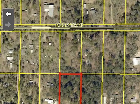 25590 Brushy Creek Dr, Hockley, TX 77447