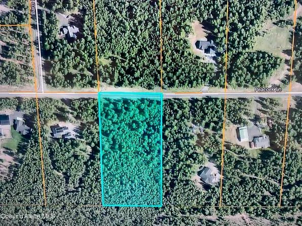 Nka Peacock Ln, Spirit Lake, ID 83869