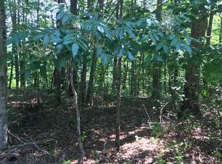 4 Ridge Cliff Dr LOT 4&5, Monteagle, TN 37356