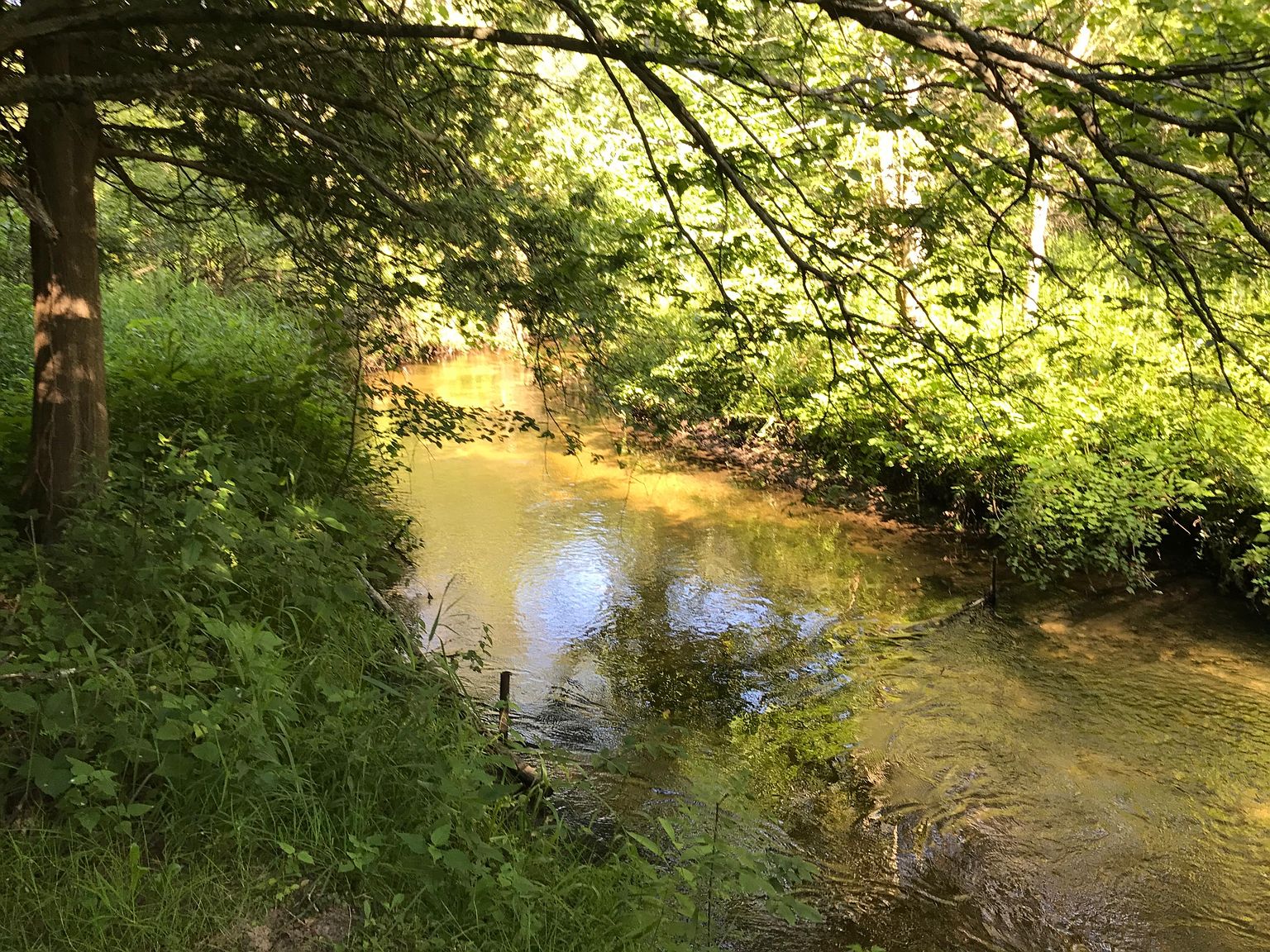 A E Ave, Luther, MI 49656 Zillow