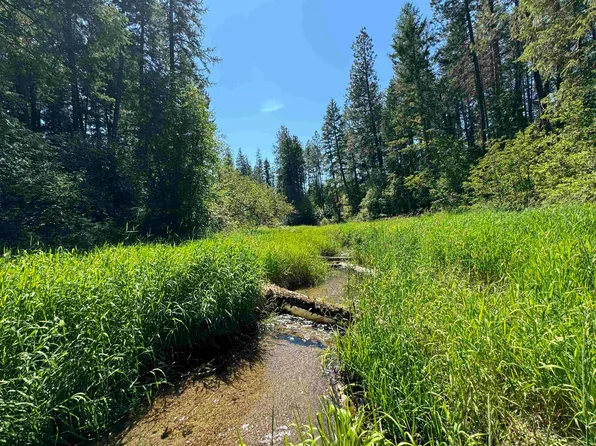 402 N Beck Ln Lot 8, Springdale, WA 99173