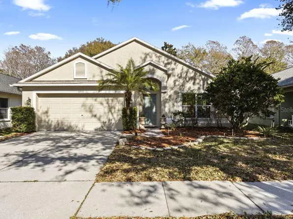 10934 May Apple Ct, Land O Lakes, FL 34638