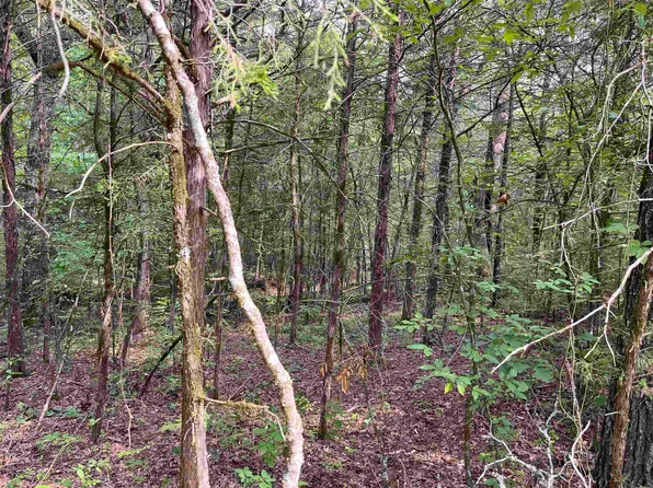 2505 Memory Ln, Horseshoe Bend, AR 72512