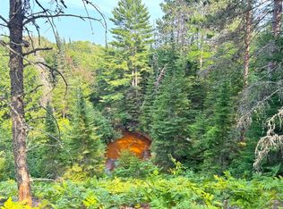 0 N Widewaters Rd, Paradise, MI 49768