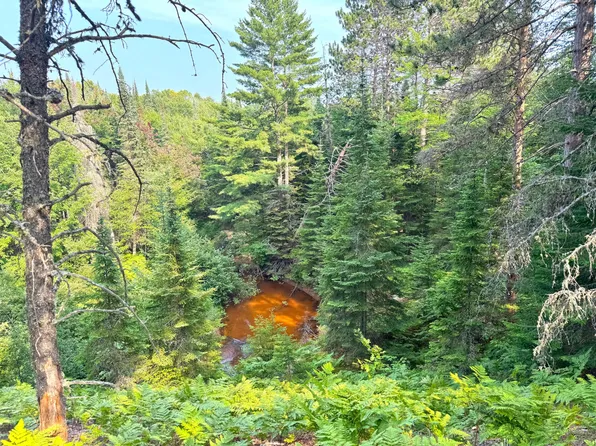 0 N Widewaters Rd, Paradise, MI 49768