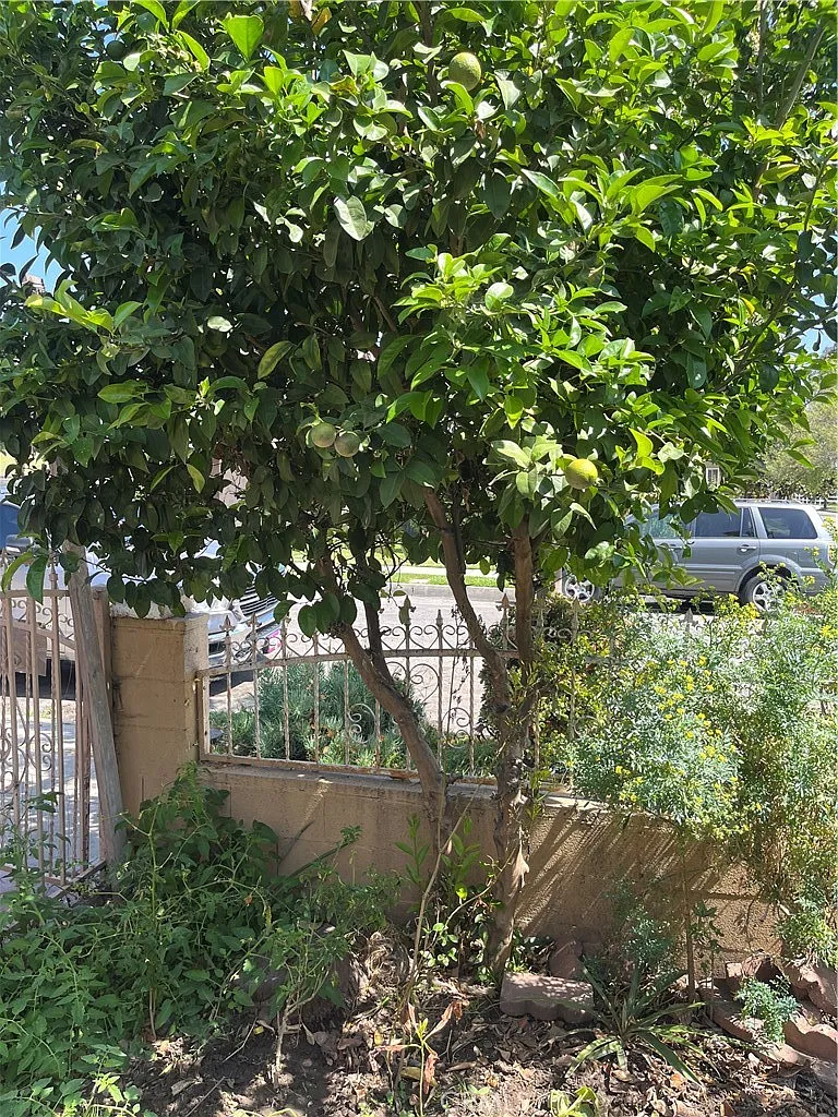 1 bed, 1494 sqft, $1,750 — Photo 2