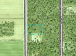 10110 Isaacson Ave, Hastings, FL 32145
