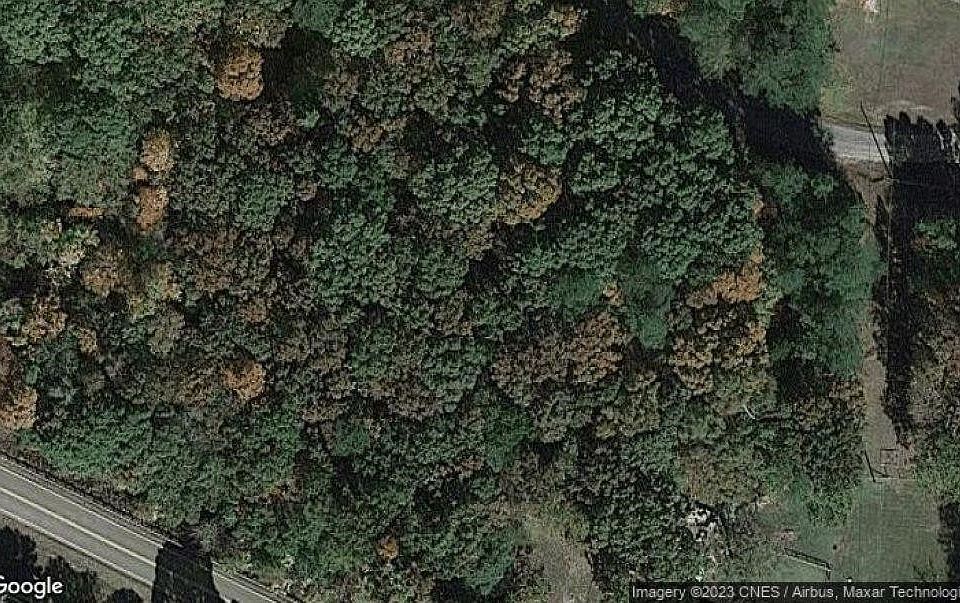 1st image of 179 Fawn Dr