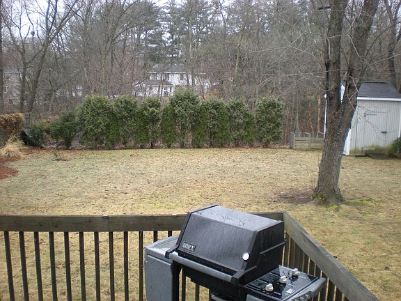 nice big yard with shed
