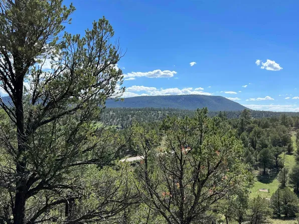 Lakeview Dr, Quemado, NM 87829