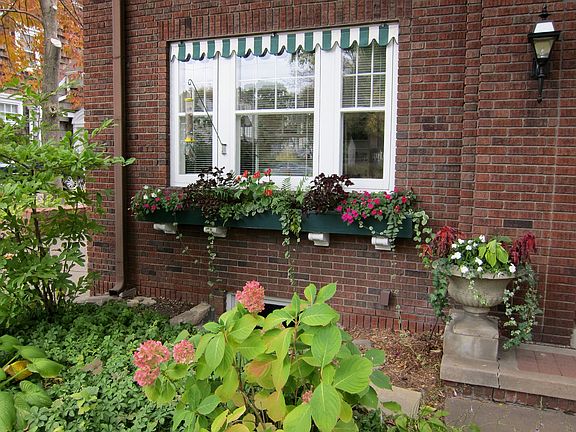 Window Dressings